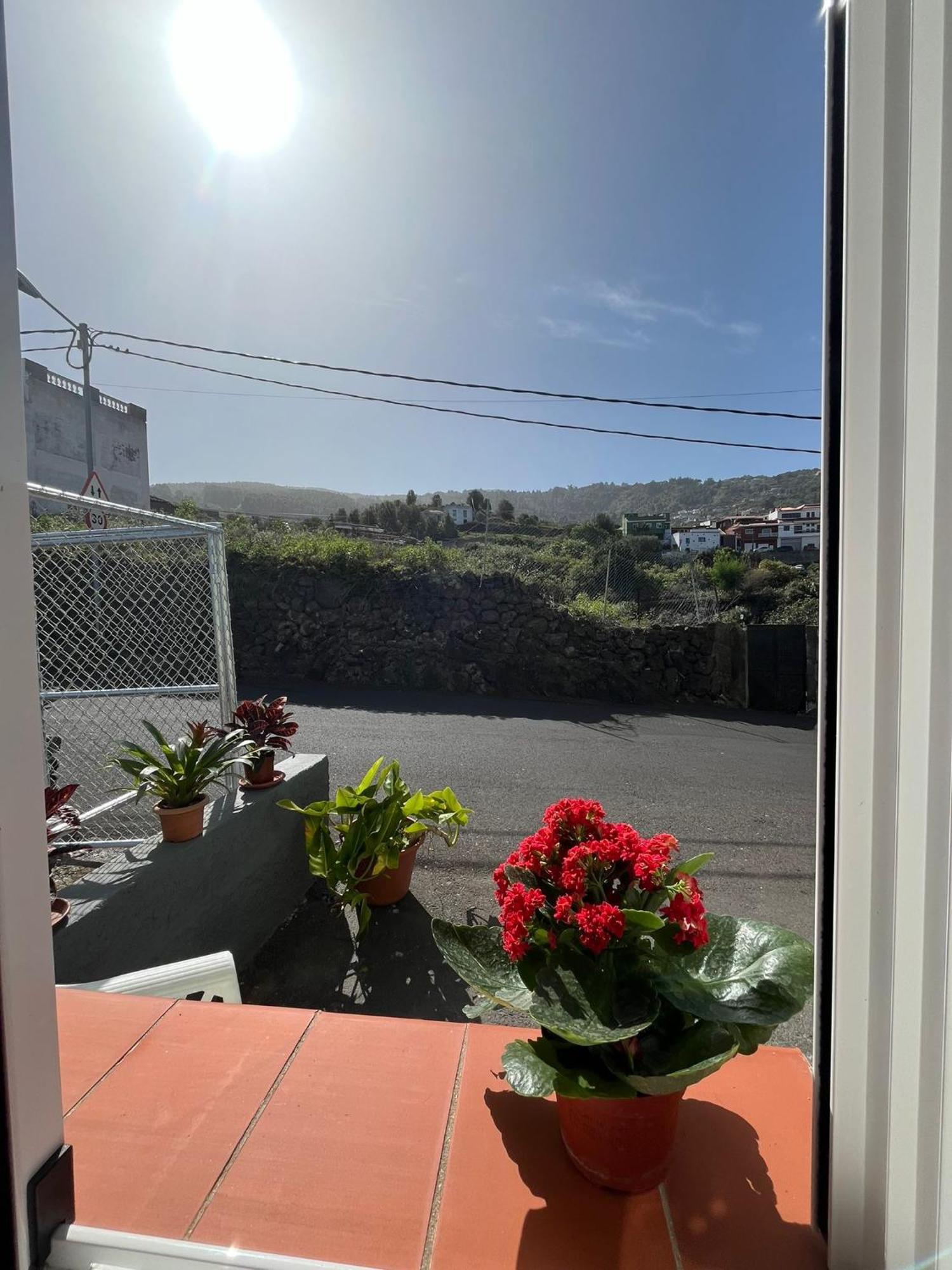 Casa Daniel Villa Icod De Los Vinos Eksteriør bilde